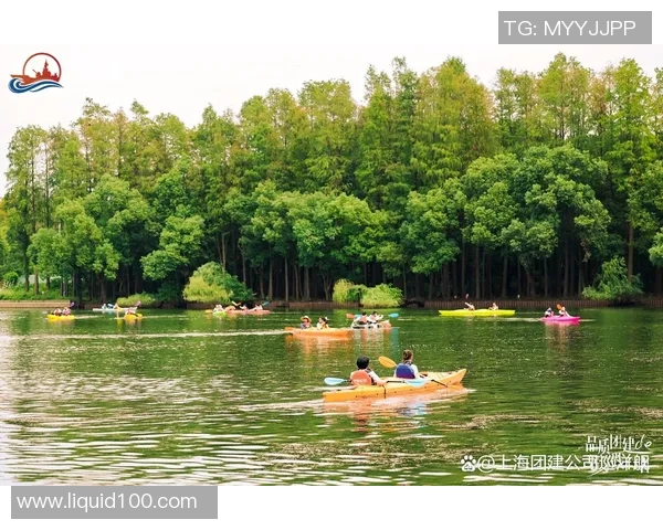 上海飞盘队团队协作表现的数据分析与提升策略探讨